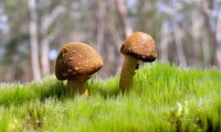 世界保龄球巡回赛城市站青少年培训基地扩建完工，保龄球世界锦标赛