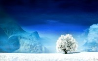 世界登山纪录挑战赛：选手在复杂气候中完成挑战，世界登山史十大惨案