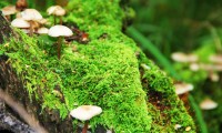 世界击剑团体花剑决赛：中国队迎战欧洲传统劲旅，击剑时代花剑教学视频