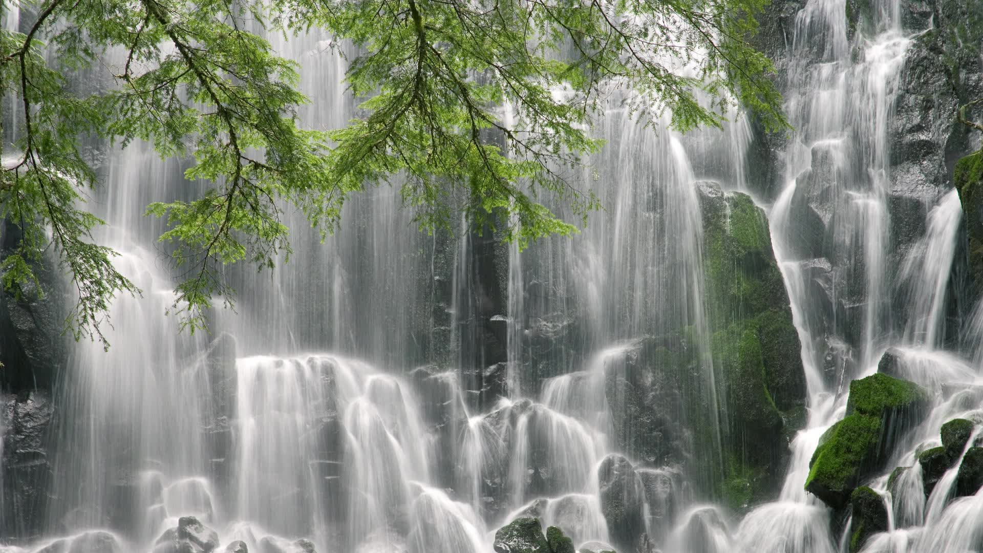 世界游泳锦标赛推广无障碍观赛方案，世界锦标赛游泳比赛视频